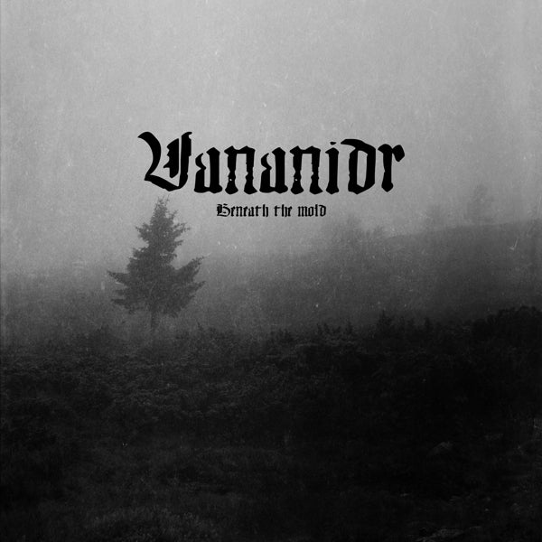  |  Vinyl LP | Vananidr - Beneath the Mold (LP) | Records on Vinyl