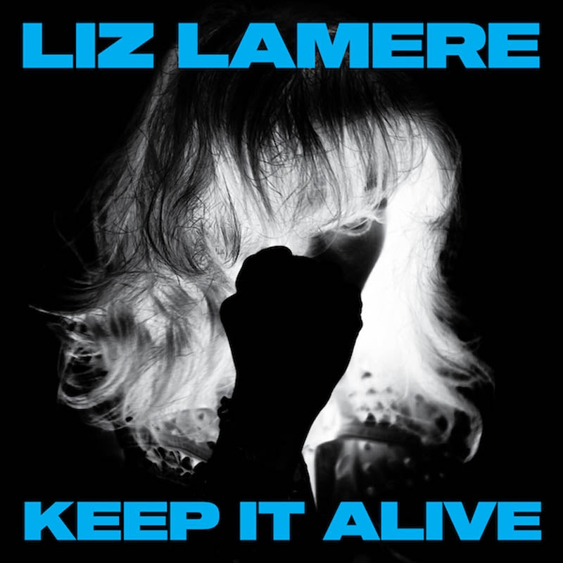  |  Vinyl LP | Liz Lamere - Keep It Alive (LP) | Records on Vinyl
