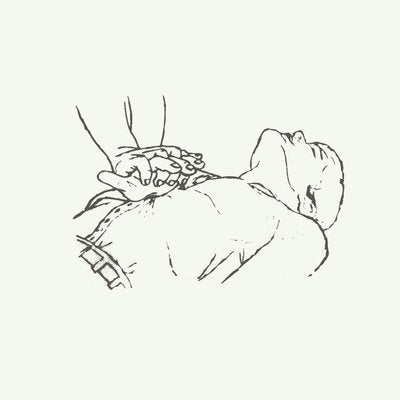 Copeland - Beneath Medicine Tree (2 LPs) Cover Arts and Media | Records on Vinyl