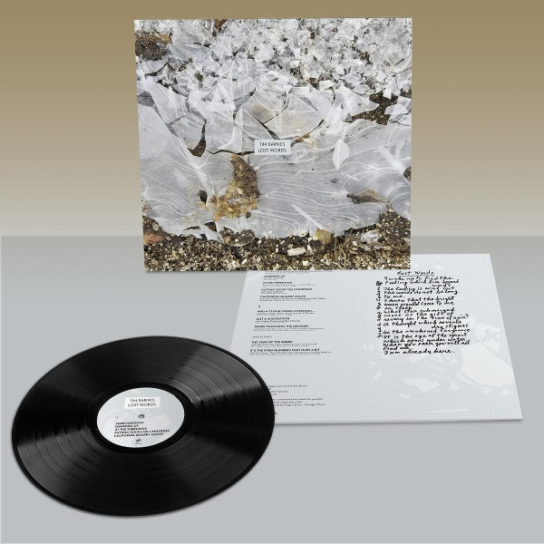 |  Vinyl LP | Tim Barnes - Lost Words (LP) | Records on Vinyl