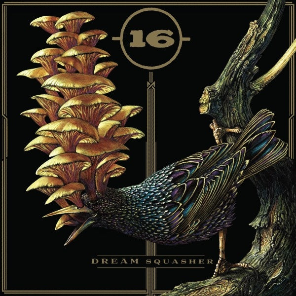 |   | 16 - Dream Squasher (LP) | Records on Vinyl