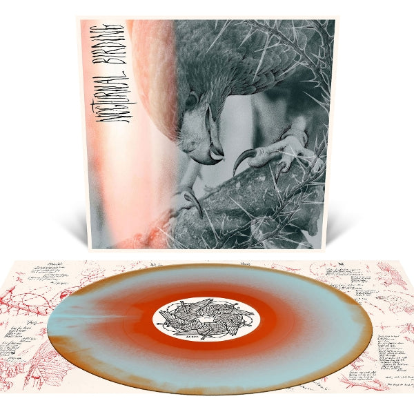  |  Vinyl LP | Author & Punisher - Nocturnal Birding (LP) | Records on Vinyl