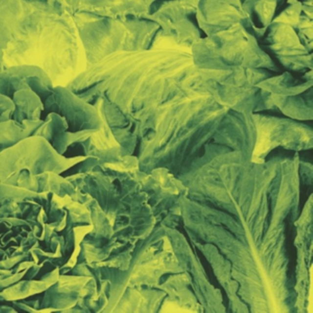 Lettuce - Monorail 3000 / Star Children (Single) Cover Arts and Media | Records on Vinyl