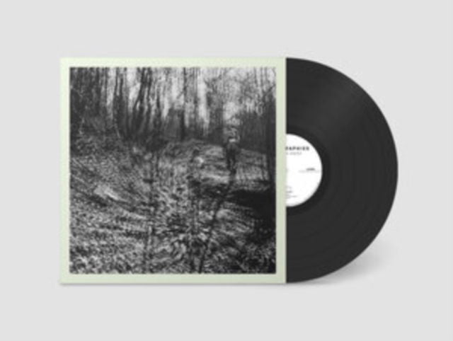 Topographies - Interior Spring (LP) Cover Arts and Media | Records on Vinyl