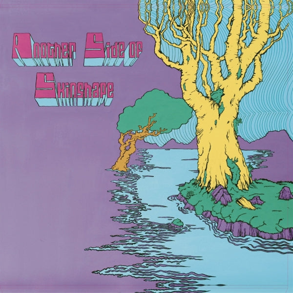  |  Vinyl LP | Skinshape - Another Side of Skinshape (LP) | Records on Vinyl