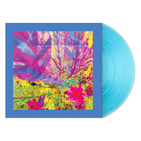  |  Vinyl LP | Pinks and Purples Reds - The Past is a Garden I Never Fed (LP) | Records on Vinyl