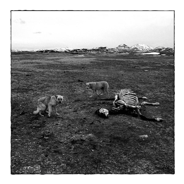  |   | Bronson Arm - Bronson Arm (LP) | Records on Vinyl