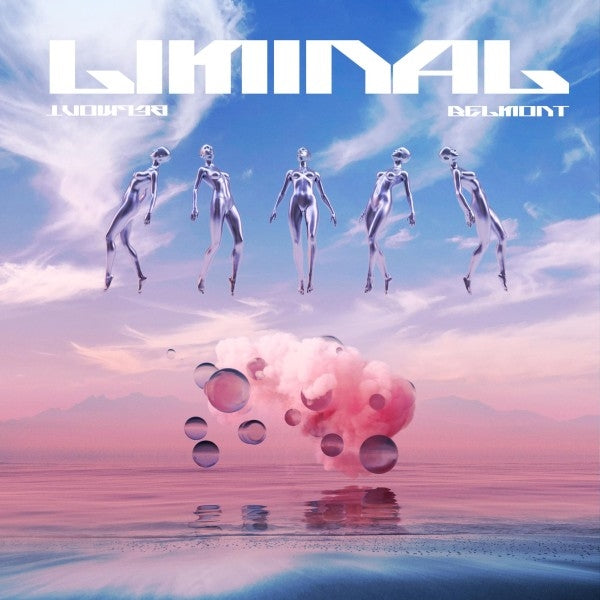  |  Vinyl LP | Belmont - Liminal (LP) | Records on Vinyl