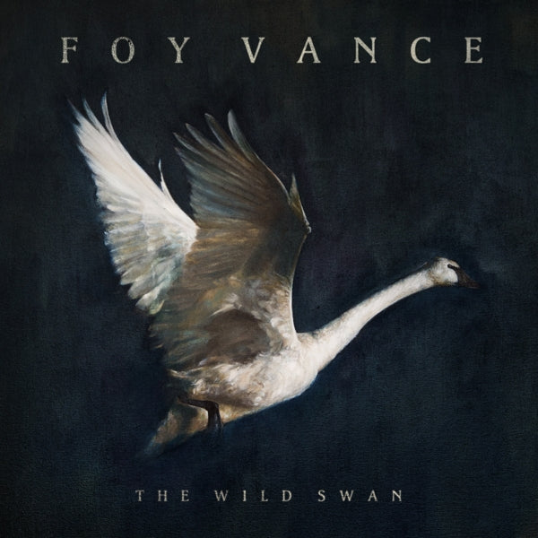  |   | Foy Vance - Wild Swan (LP) | Records on Vinyl