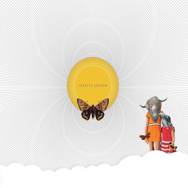  |   | Death Sentence: Panda - Insects Awaken (LP) | Records on Vinyl