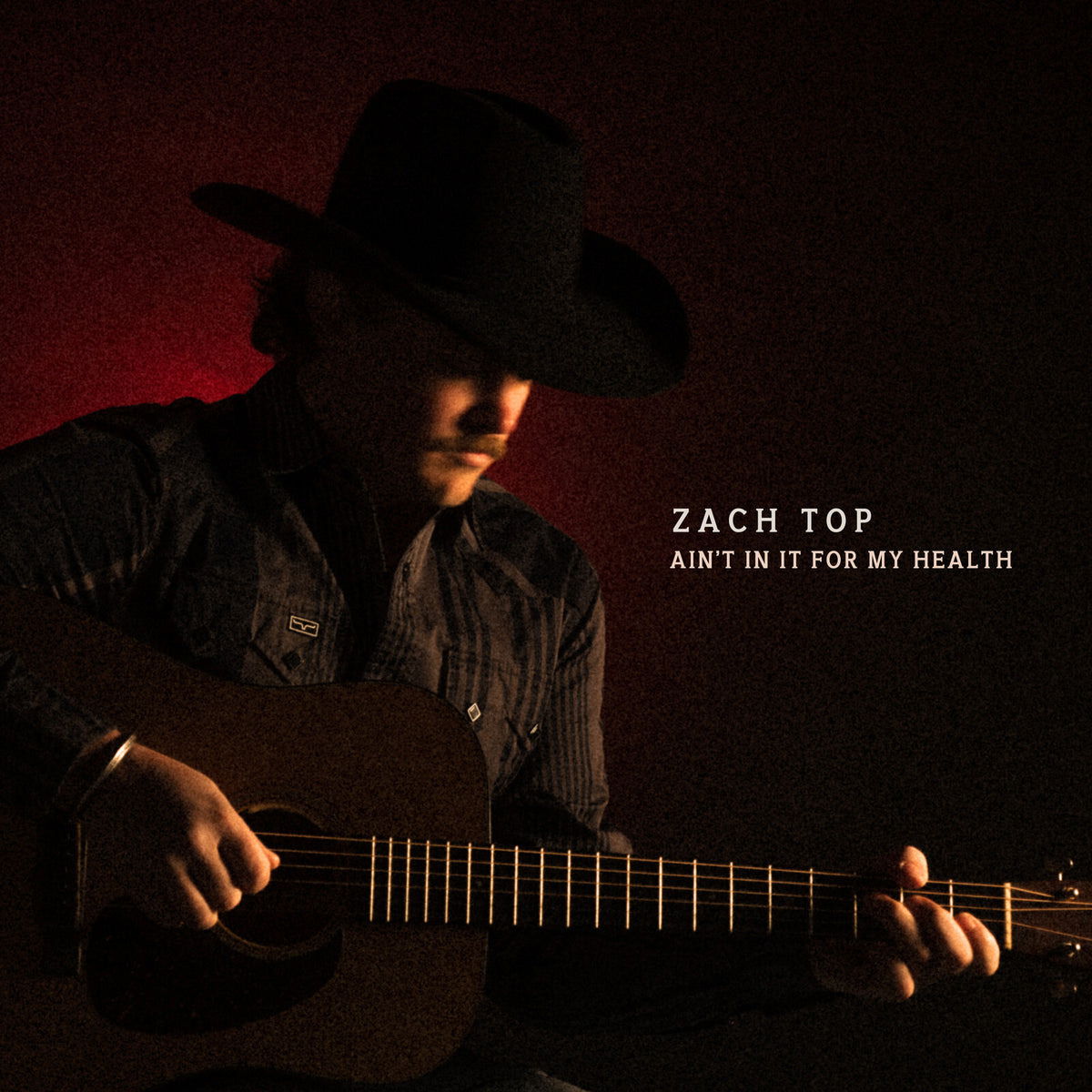 Zach Top - Ain't In It For My Health (2 LPs) Cover Arts and Media | Records on Vinyl