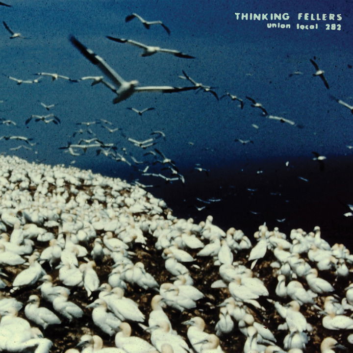 Thinking Fellers Union Local 282 - These Things Remain Unassigned (2 LPs) Cover Arts and Media | Records on Vinyl