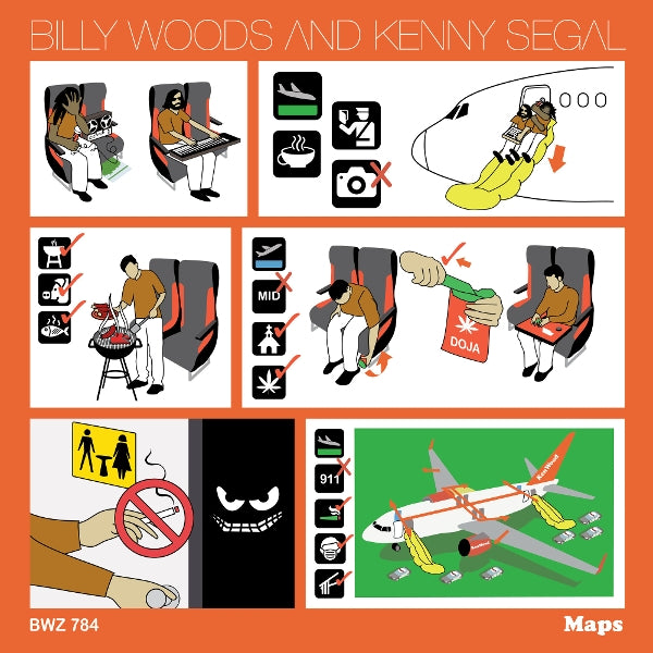  |  Vinyl LP | Billy Woods - Maps (2 LPs) | Records on Vinyl