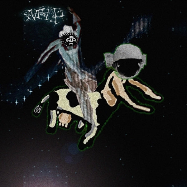  |   | Matt Valentine - Preserves (LP) | Records on Vinyl