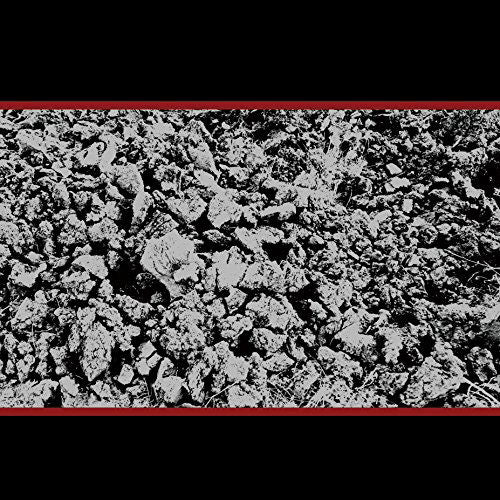 Mike Coykendall - Half Past, Present Pending (LP) Cover Arts and Media | Records on Vinyl