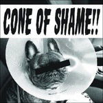  |   | Faith No More - Cone of Shame (Single) | Records on Vinyl