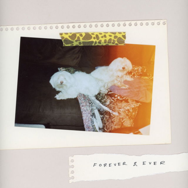 Sales - Forever & Ever (LP) Cover Arts and Media | Records on Vinyl