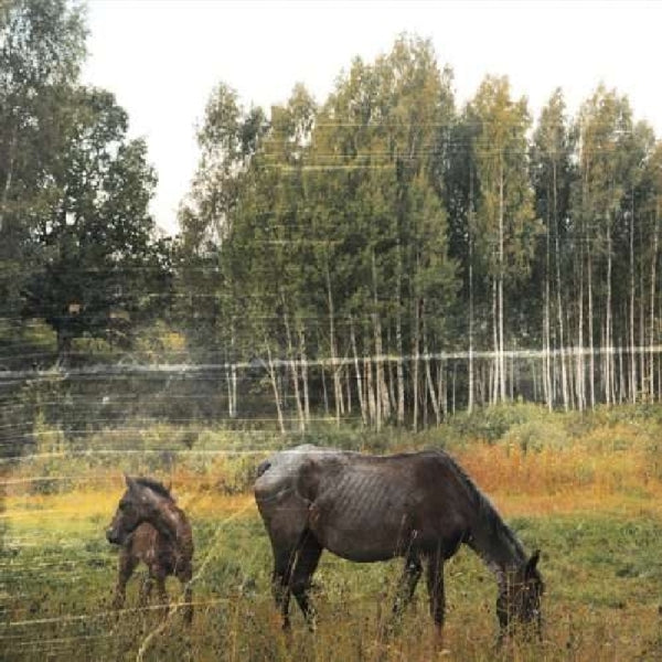  |   | Pianos Become the Teeth - Old Pride (LP) | Records on Vinyl