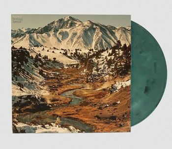 Will Sheff - Nothing Special (LP) Cover Arts and Media | Records on Vinyl