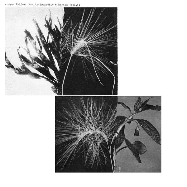  |   | Andrew Pekler - New Environments & Rhythm Studies (LP) | Records on Vinyl