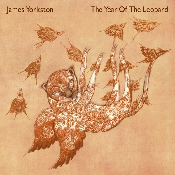  |  Vinyl LP | James Yorkston - Year of the Leopard (2 LPs) | Records on Vinyl