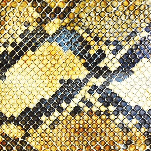  |  Vinyl LP | Amazing Snakeheads - Amphetamine Ballads (LP) | Records on Vinyl