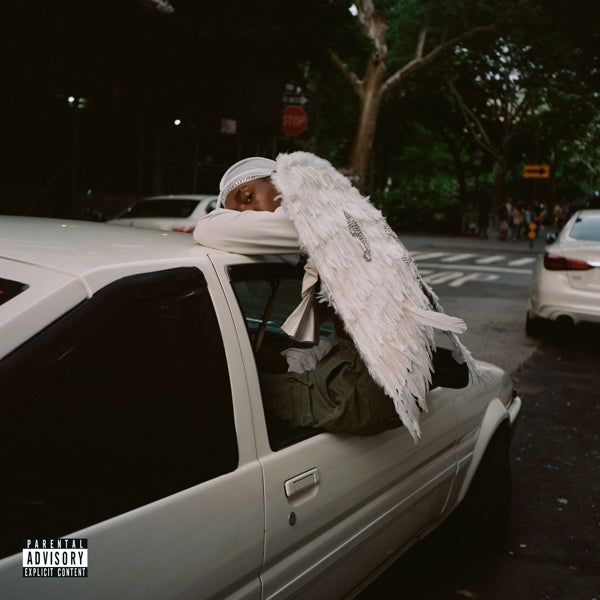  |   | Blood Orange - Negro Swan (2 LPs) | Records on Vinyl