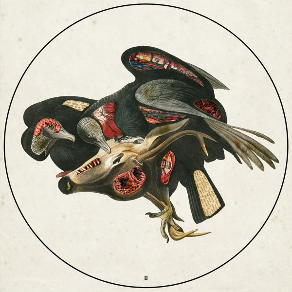  |  Vinyl LP | Clutch - Book of Bad Decisions (2 LPs) | Records on Vinyl