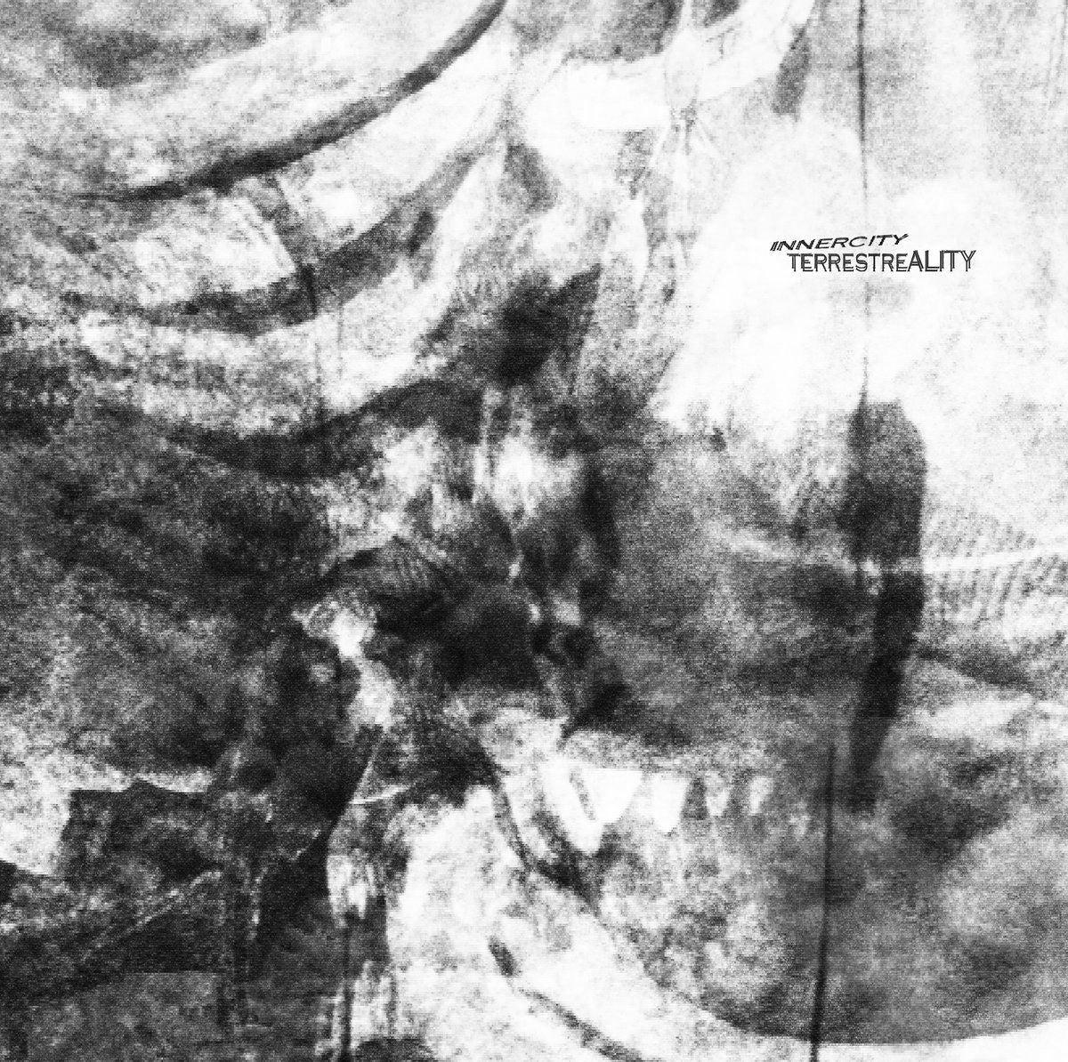  |  Vinyl LP | Innercity - Terrestreality (LP) | Records on Vinyl