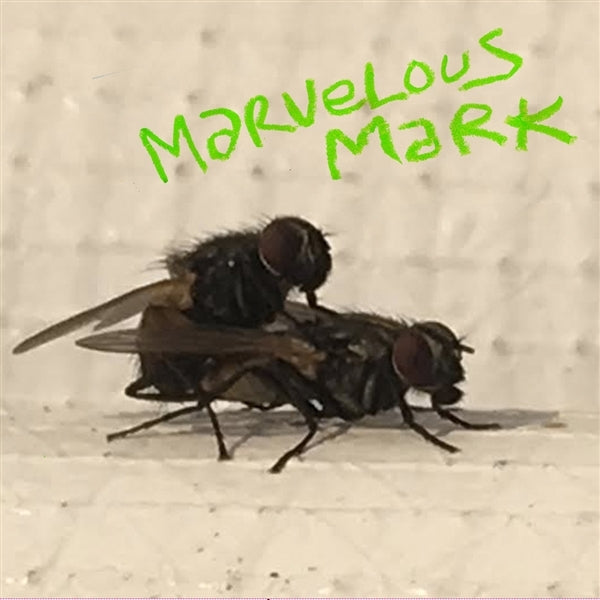  |  Vinyl LP | Marvelous Mark - Buzzin' (LP) | Records on Vinyl