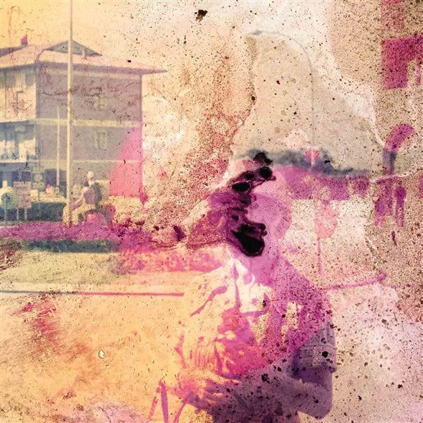  |   | Sunflower - Spiders We Caught (LP) | Records on Vinyl
