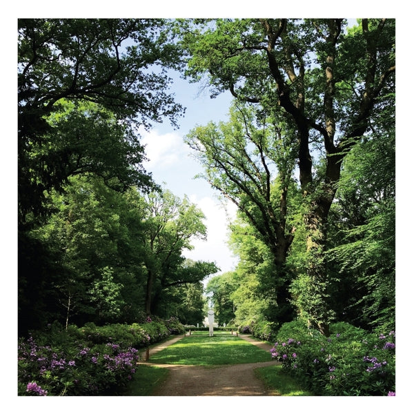  |   | Coen Oscar Polack - Haarlemmerhout (LP) | Records on Vinyl