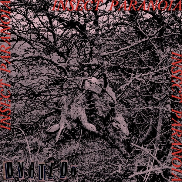  |   | Dyatlov - Insect Paranoia (Single) | Records on Vinyl