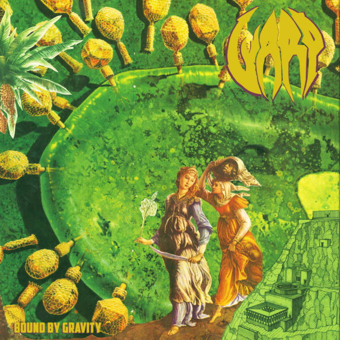 Warp - Bound By Gravity (LP) Cover Arts and Media | Records on Vinyl