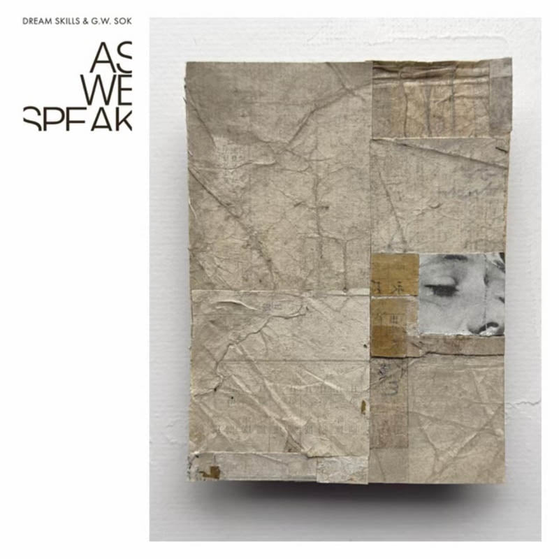  |  Vinyl LP | Dream Skills & G.W. Sok - As We Speak (LP) | Records on Vinyl