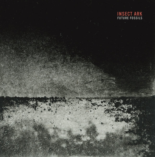  |  Vinyl LP | Insect Ark - Future Fossils (LP) | Records on Vinyl