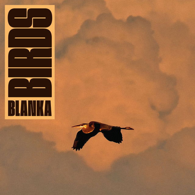 Blanka - Birds (LP) Cover Arts and Media | Records on Vinyl