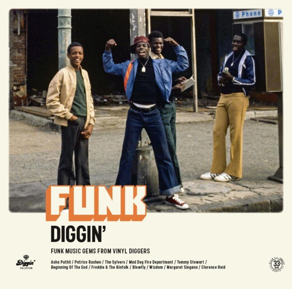  |  Vinyl LP | V/A - Funk Diggin (LP) | Records on Vinyl
