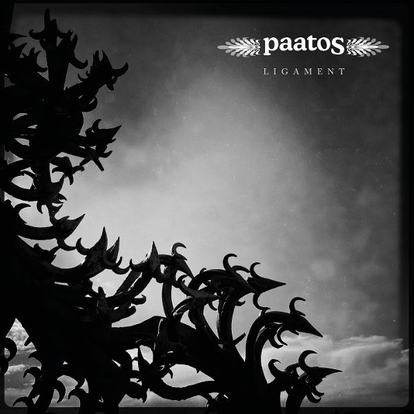  |   | Paatos - Ligament (LP) | Records on Vinyl