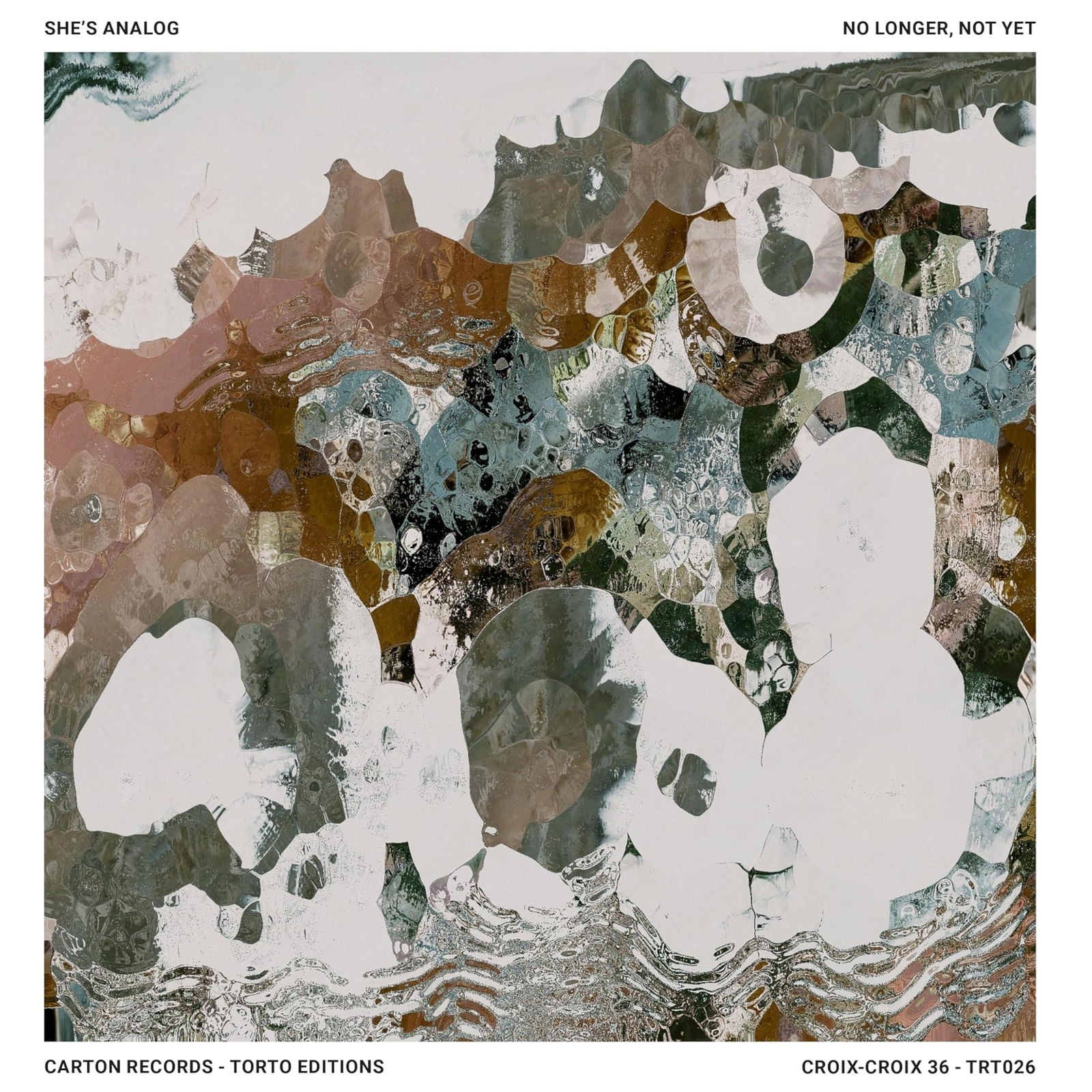 Shes Analog - No Longer Not Yet (LP) Cover Arts and Media | Records on Vinyl