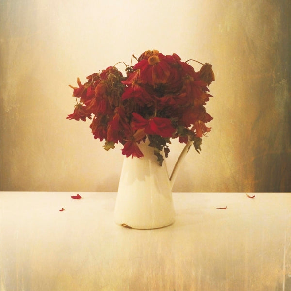  |   | Lion and the Wolf - Cardiac Hotel (LP) | Records on Vinyl
