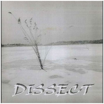 Dissect/Los Rezios - Split (Single) Cover Arts and Media | Records on Vinyl