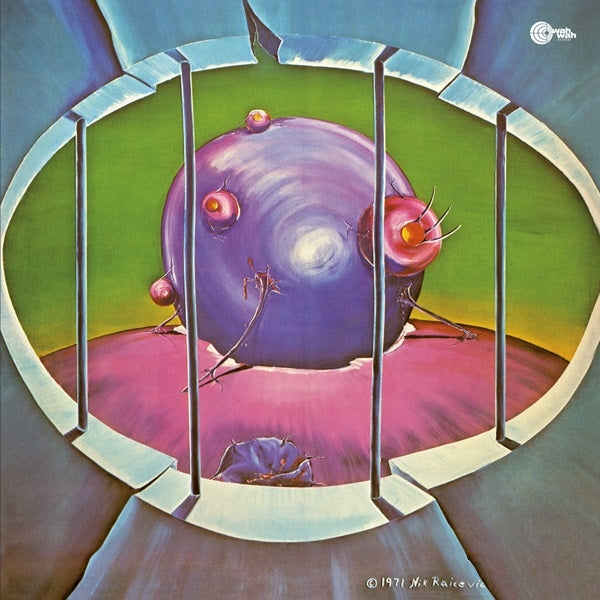  |   | Nik Raicevik - Beyond the End, Eternity (LP) | Records on Vinyl
