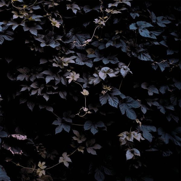  |   | Michael Vallera - Vivid Flu (LP) | Records on Vinyl