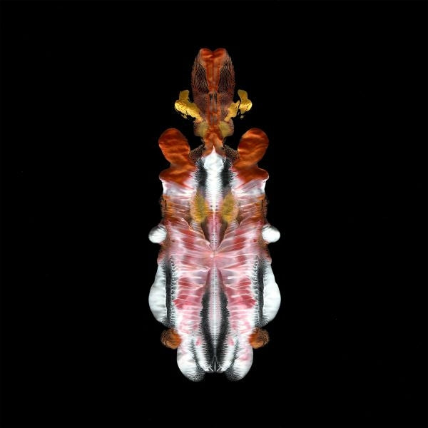  |  Vinyl LP | Scraps of Tape - Will To Burn (LP) | Records on Vinyl