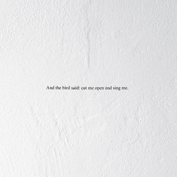 |   | Prairie - And the Bird Said: Cut Me Open and Sing Me (LP) | Records on Vinyl
