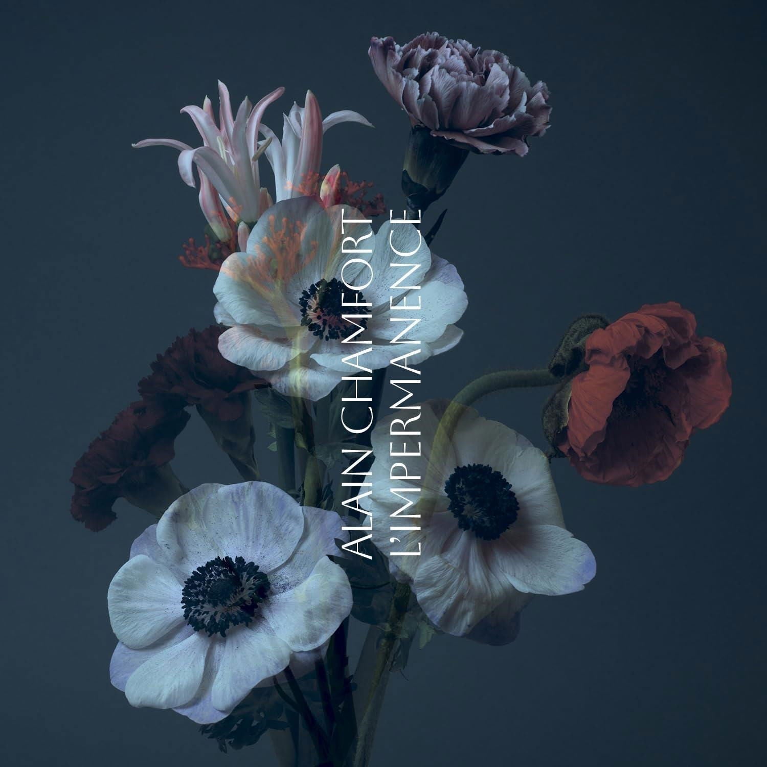 Alain Chamfort - L Impermanence (LP) Cover Arts and Media | Records on Vinyl