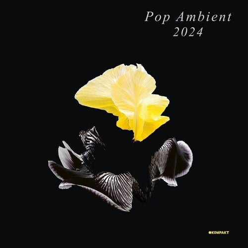 Various - Pop Ambient 2024 (LP) Cover Arts and Media | Records on Vinyl