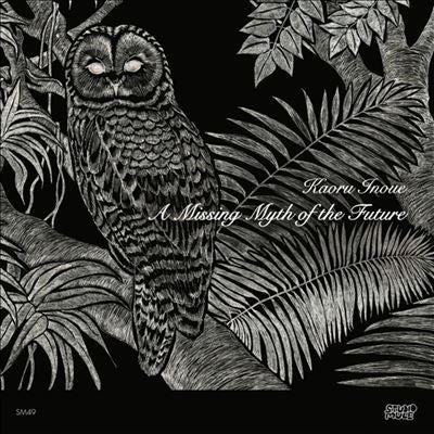 Kaoru Inoue - A Missing Myth of the Future (LP) Cover Arts and Media | Records on Vinyl