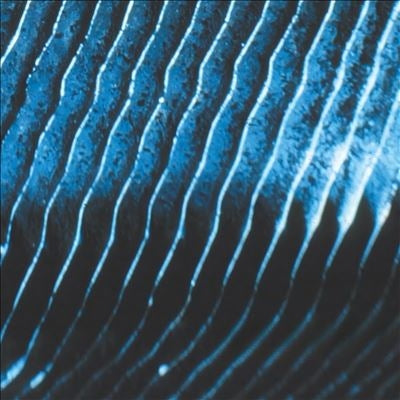 Monolake - Gravity (2 LPs) Cover Arts and Media | Records on Vinyl